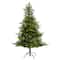5ft. Pre-Lit North Carolina Spruce Artificial Christmas Tree, Clear LED Lights